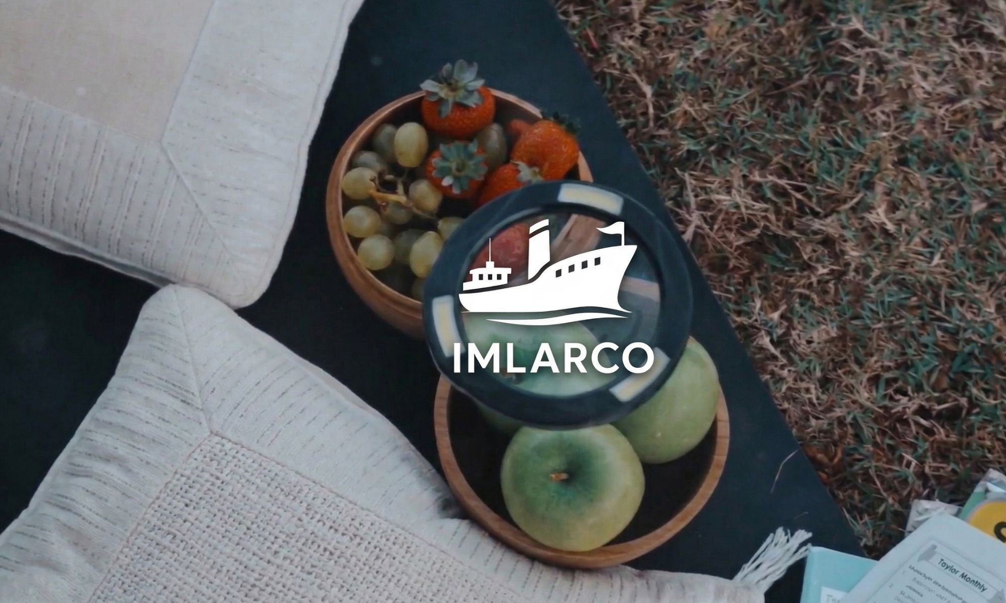 Fruits quality inspection video preview